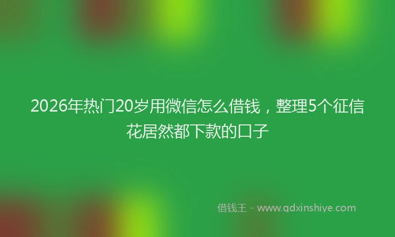 2026年热门20岁用微信怎么借钱，整理5个征信花居然都下款的口子