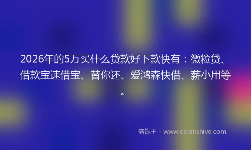 2026年的5万买什么贷款好下款快有：微粒贷、借款宝速借宝、替你还、爱鸿森快借、薪小用等。