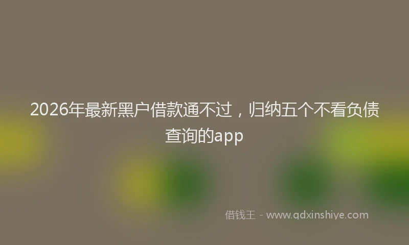 2026年最新黑户借款通不过，归纳五个不看负债查询的app