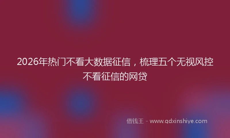 2026年热门不看大数据征信，梳理五个无视风控不看征信的网贷
