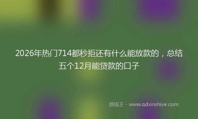 2026年热门714都秒拒还有什么能放款的，总结五个12月能贷款的口子
