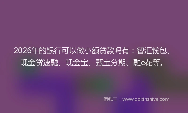 2026年的银行可以做小额贷款吗有：智汇钱包、现金贷速融、现金宝、甄宝分期、融e花等。