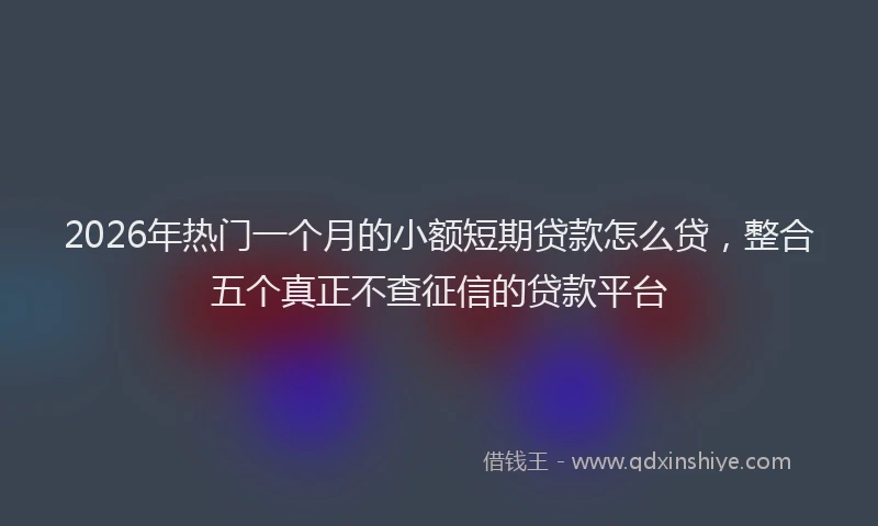 2026年热门一个月的小额短期贷款怎么贷，整合五个真正不查征信的贷款平台