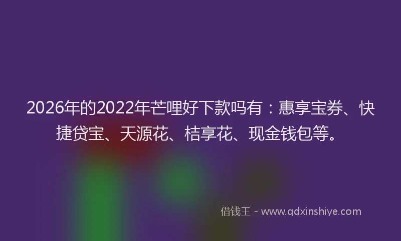 2026年的2022年芒哩好下款吗有：惠享宝券、快捷贷宝、天源花、桔享花、现金钱包等。