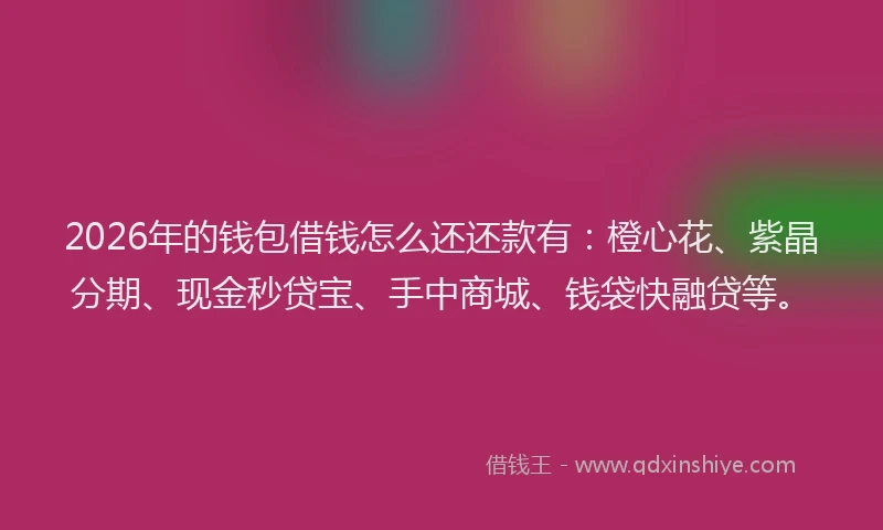 2026年的钱包借钱怎么还还款有：橙心花、紫晶分期、现金秒贷宝、手中商城、钱袋快融贷等。