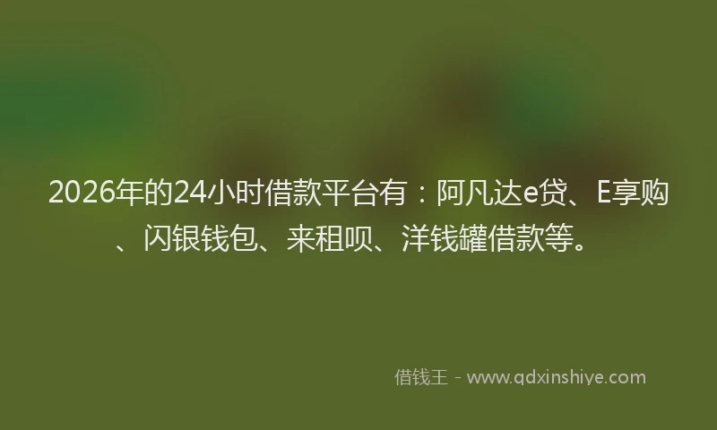 2026年的24小时借款平台有：阿凡达e贷、E享购、闪银钱包、来租呗、洋钱罐借款等。
