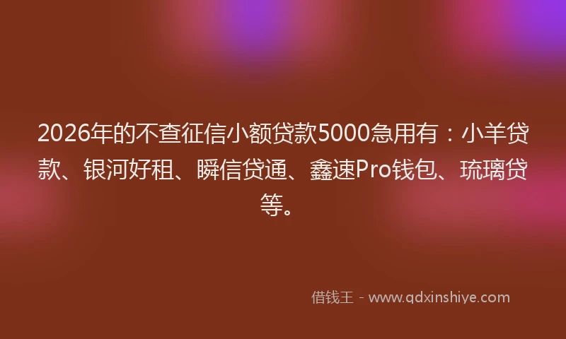 2026年的不查征信小额贷款5000急用有：小羊贷款、银河好租、瞬信贷通、鑫速Pro钱包、琉璃贷等。