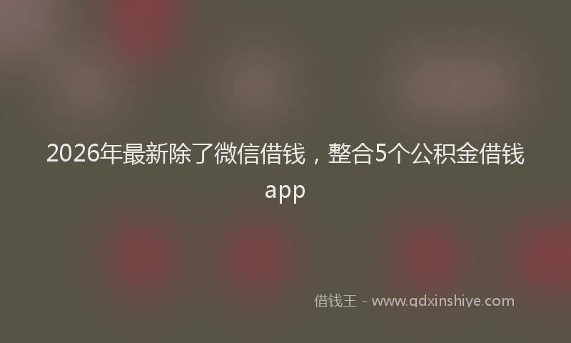 2026年最新除了微信借钱，整合5个公积金借钱app