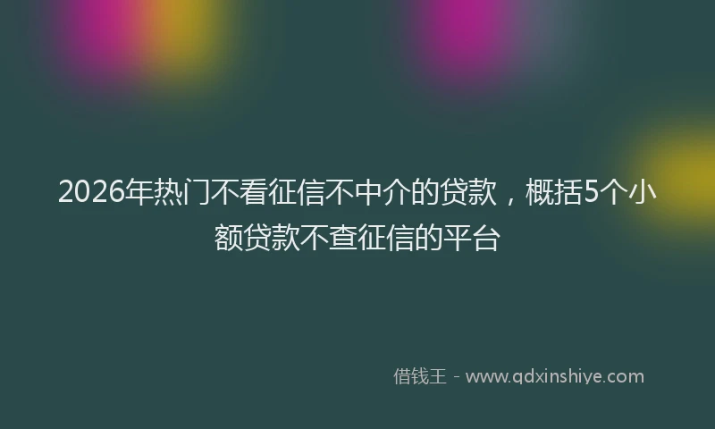 2026年热门不看征信不中介的贷款，概括5个小额贷款不查征信的平台