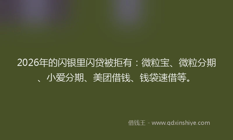 2026年的闪银里闪贷被拒有：微粒宝、微粒分期、小爱分期、美团借钱、钱袋速借等。