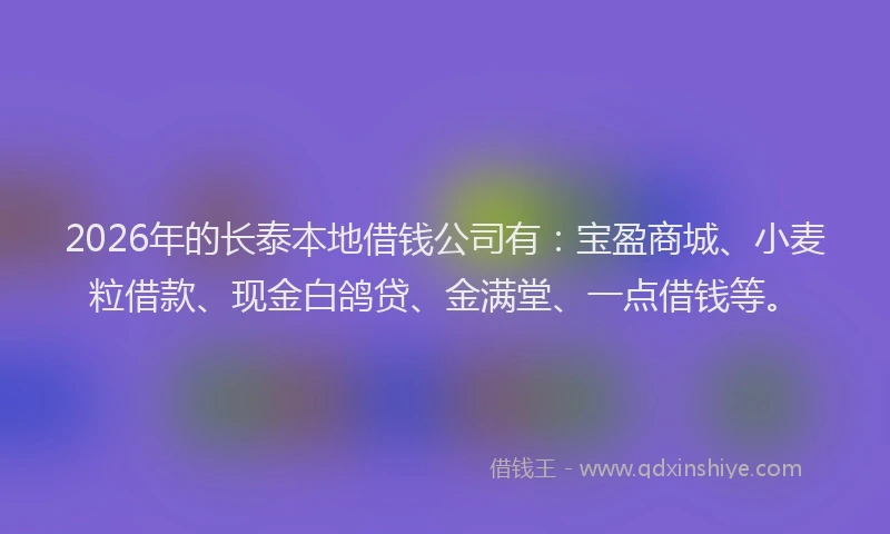2026年的长泰本地借钱公司有：宝盈商城、小麦粒借款、现金白鸽贷、金满堂、一点借钱等。