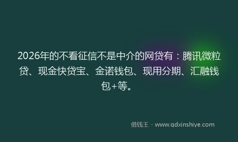 2026年的不看征信不是中介的网贷有：腾讯微粒贷、现金快贷宝、金诺钱包、现用分期、汇融钱包+等。
