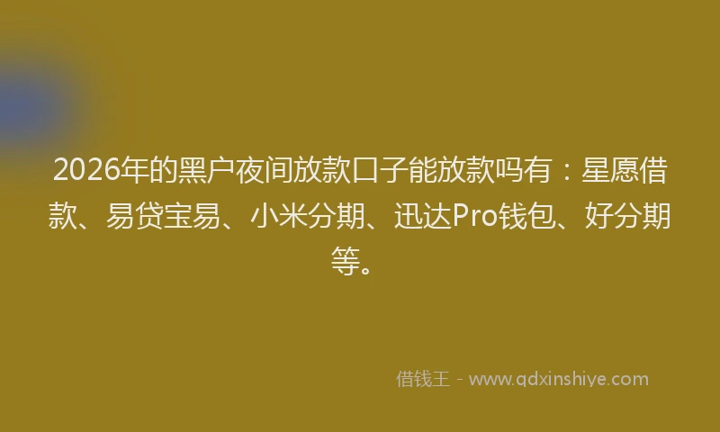 2026年的黑户夜间放款口子能放款吗有：星愿借款、易贷宝易、小米分期、迅达Pro钱包、好分期等。