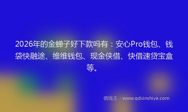 2026年的金蝉子好下款吗有：安心Pro钱包、钱袋快融途、维维钱包、现金侠借、快借速贷宝盒等。