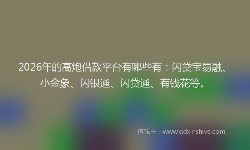 2026年的高炮借款平台有哪些有：闪贷宝易融、小金象、闪银通、闪贷通、有钱花等。