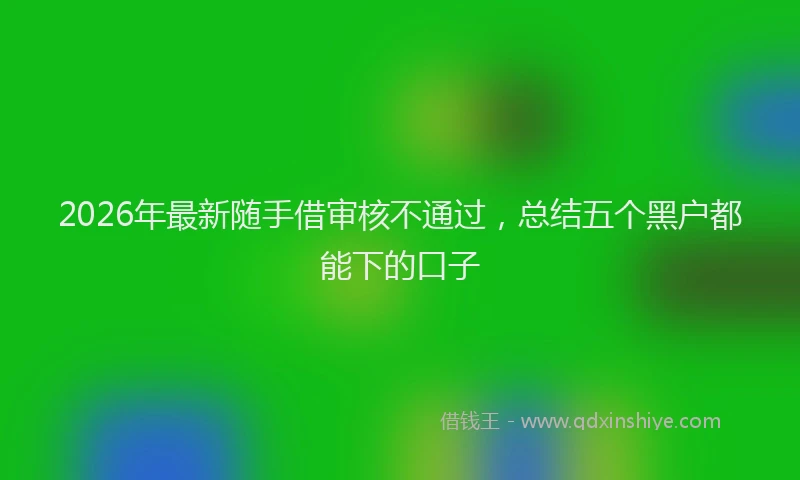 2026年最新随手借审核不通过，总结五个黑户都能下的口子