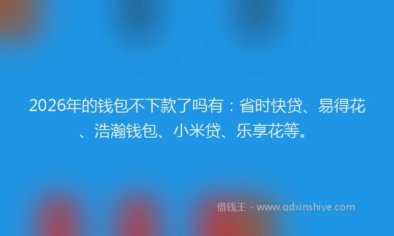 2026年的钱包不下款了吗有：省时快贷、易得花、浩瀚钱包、小米贷、乐享花等。