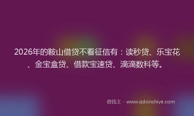 2026年的鞍山借贷不看征信有：读秒贷、乐宝花、金宝盒贷、借款宝速贷、滴滴数科等。