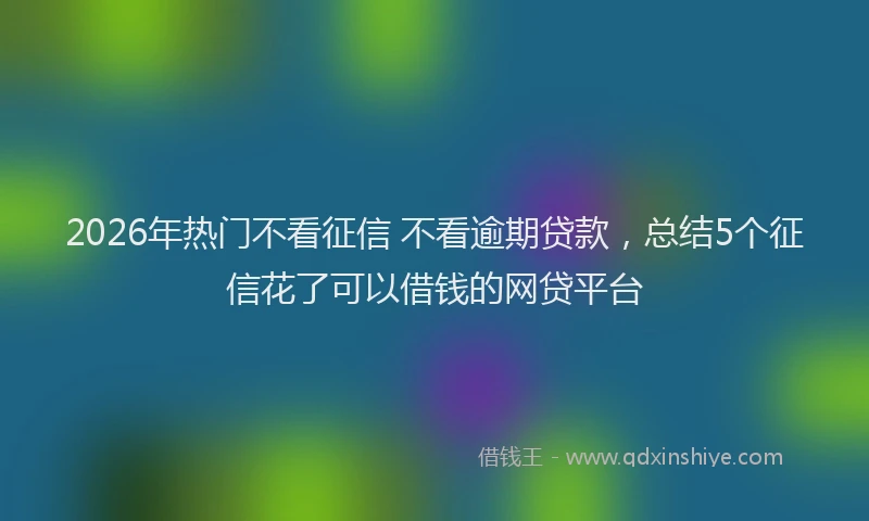 2026年热门不看征信 不看逾期贷款，总结5个征信花了可以借钱的网贷平台