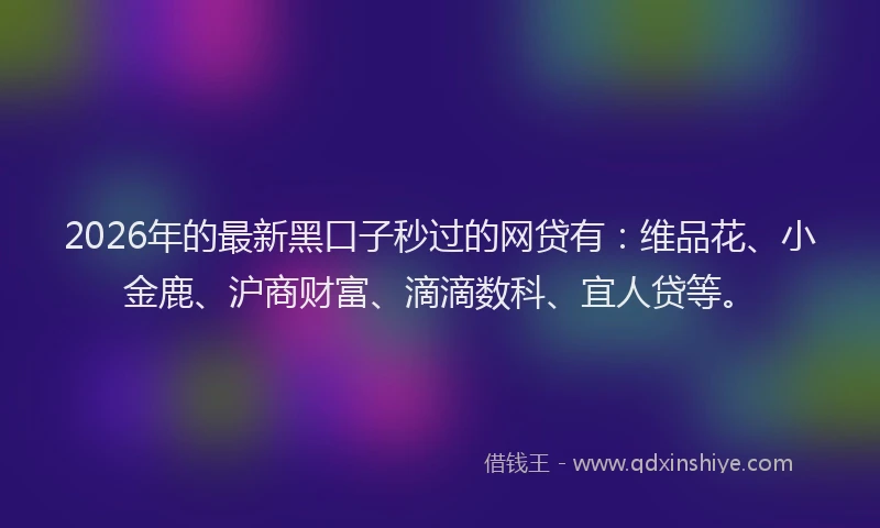 2026年的最新黑口子秒过的网贷有：维品花、小金鹿、沪商财富、滴滴数科、宜人贷等。