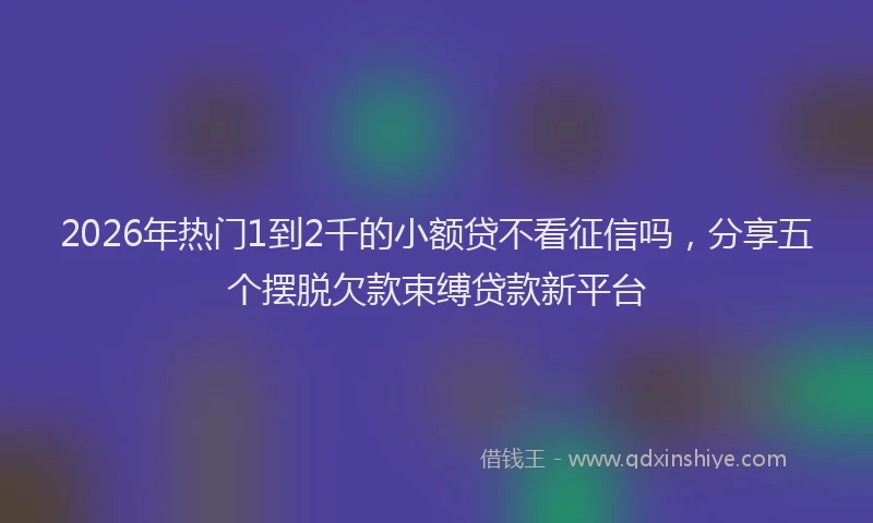 2026年热门1到2千的小额贷不看征信吗，分享五个摆脱欠款束缚贷款新平台