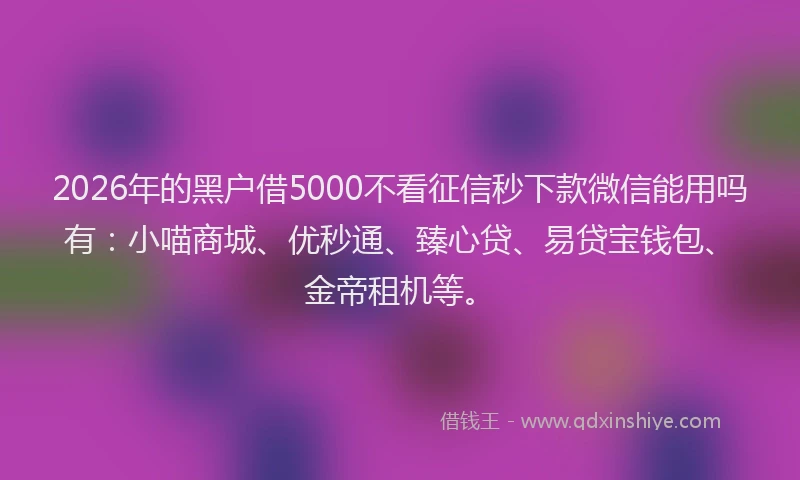 2026年的黑户借5000不看征信秒下款微信能用吗有：小喵商城、优秒通、臻心贷、易贷宝钱包、金帝租机等。