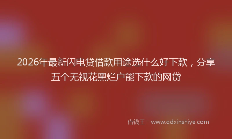 2026年最新闪电贷借款用途选什么好下款，分享五个无视花黑烂户能下款的网贷