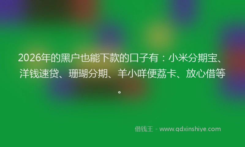 2026年的黑户也能下款的口子有：小米分期宝、洋钱速贷、珊瑚分期、羊小咩便荔卡、放心借等。