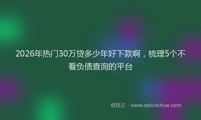 2026年热门30万贷多少年好下款啊，梳理5个不看负债查询的平台