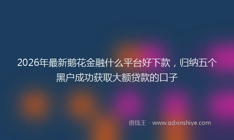 2026年最新鹅花金融什么平台好下款，归纳五个黑户成功获取大额贷款的口子