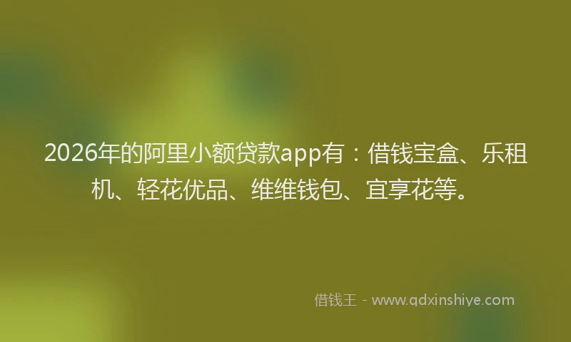 2026年的阿里小额贷款app有：借钱宝盒、乐租机、轻花优品、维维钱包、宜享花等。
