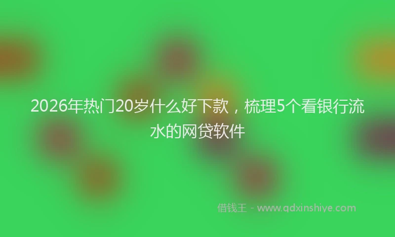 2026年热门20岁什么好下款，梳理5个看银行流水的网贷软件