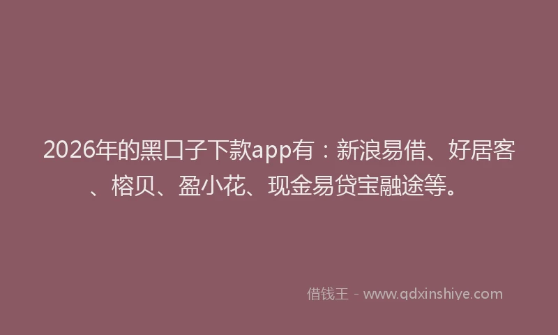 2026年的黑口子下款app有：新浪易借、好居客、榕贝、盈小花、现金易贷宝融途等。