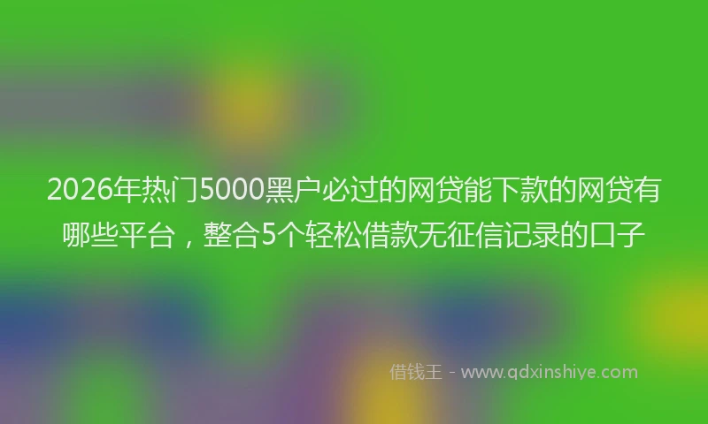 2026年热门5000黑户必过的网贷能下款的网贷有哪些平台，整合5个轻松借款无征信记录的口子