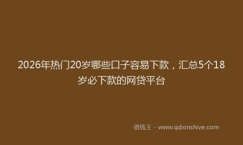2026年热门20岁哪些口子容易下款，汇总5个18岁必下款的网贷平台