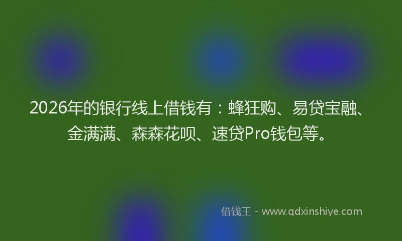 2026年的银行线上借钱有：蜂狂购、易贷宝融、金满满、森森花呗、速贷Pro钱包等。