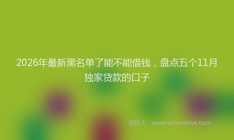 2026年最新黑名单了能不能借钱，盘点五个11月独家贷款的口子