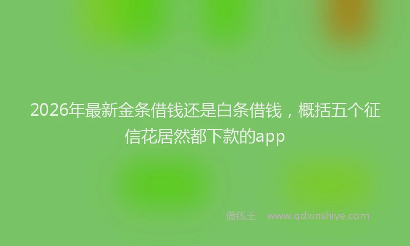 2026年最新金条借钱还是白条借钱，概括五个征信花居然都下款的app