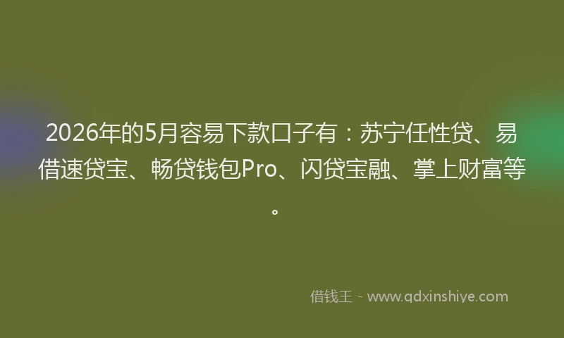 2026年的5月容易下款口子有：苏宁任性贷、易借速贷宝、畅贷钱包Pro、闪贷宝融、掌上财富等。