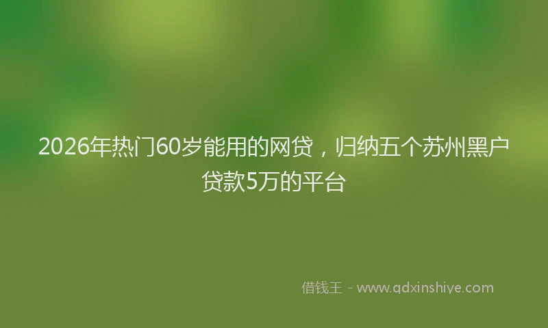 2026年热门60岁能用的网贷，归纳五个苏州黑户贷款5万的平台