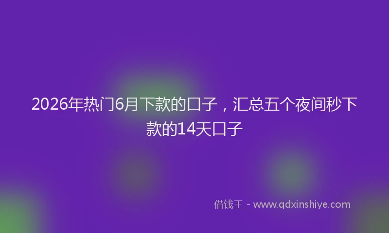 2026年热门6月下款的口子，汇总五个夜间秒下款的14天口子