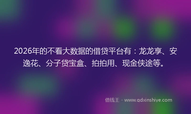 2026年的不看大数据的借贷平台有：龙龙享、安逸花、分子贷宝盒、拍拍用、现金侠途等。