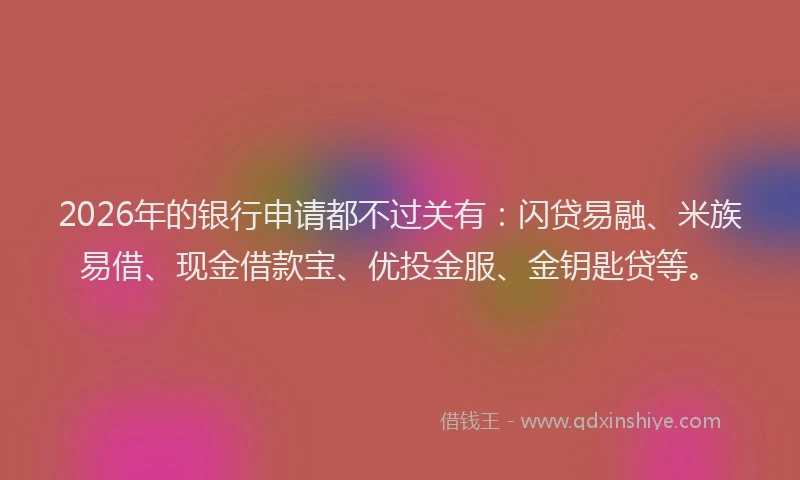 2026年的银行申请都不过关有：闪贷易融、米族易借、现金借款宝、优投金服、金钥匙贷等。