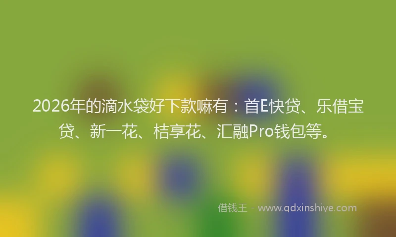 2026年的滴水袋好下款嘛有：首E快贷、乐借宝贷、新一花、桔享花、汇融Pro钱包等。