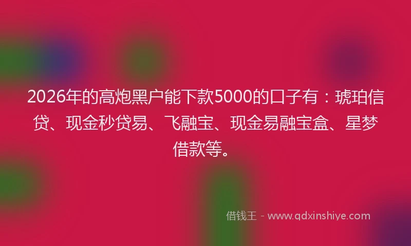 2026年的高炮黑户能下款5000的口子有：琥珀信贷、现金秒贷易、飞融宝、现金易融宝盒、星梦借款等。