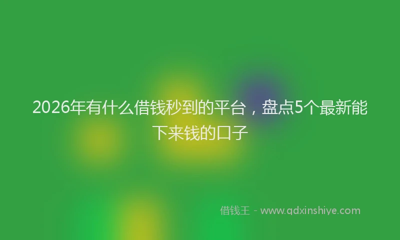 2026年有什么借钱秒到的平台，盘点5个最新能下来钱的口子