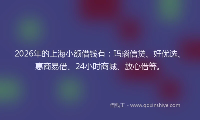 2026年的上海小额借钱有：玛瑙信贷、好优选、惠商易借、24小时商城、放心借等。