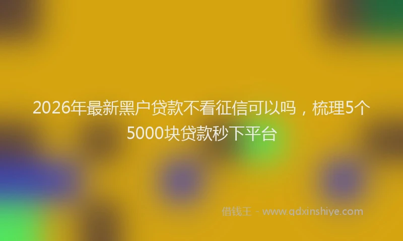 2026年最新黑户贷款不看征信可以吗，梳理5个5000块贷款秒下平台