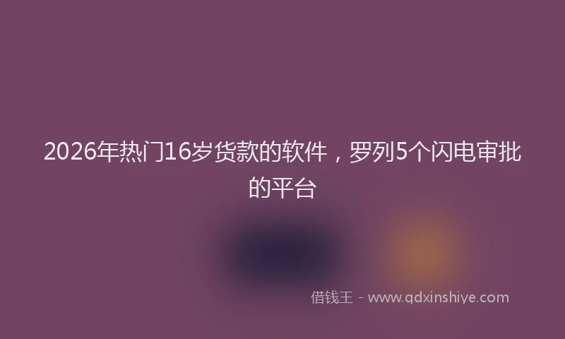 2026年热门16岁货款的软件，罗列5个闪电审批的平台