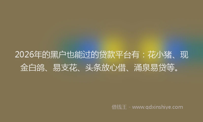 2026年的黑户也能过的贷款平台有：花小猪、现金白鸽、易支花、头条放心借、涌泉易贷等。
